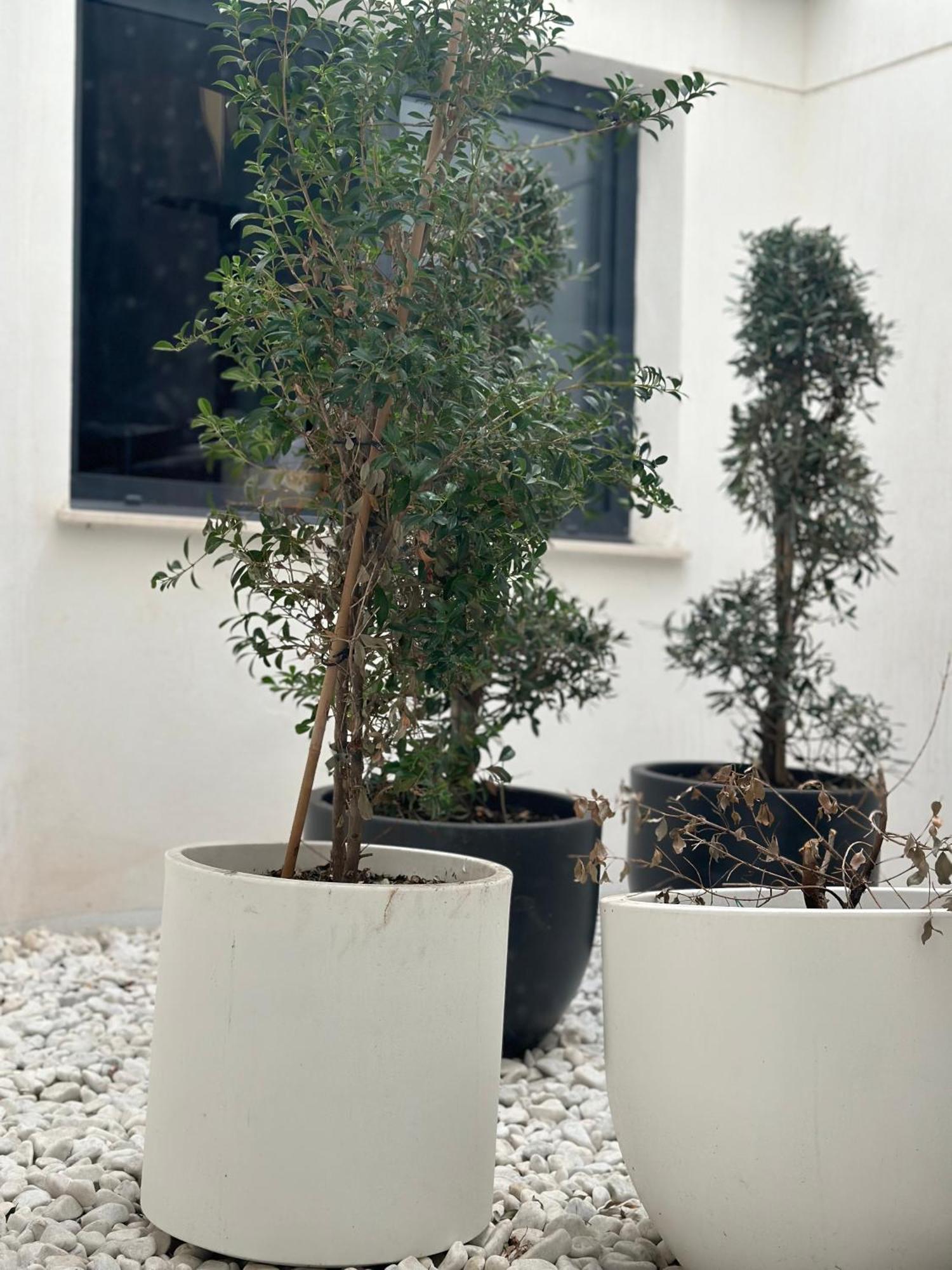 Hostel Alicante A-Cero Living Esterno foto